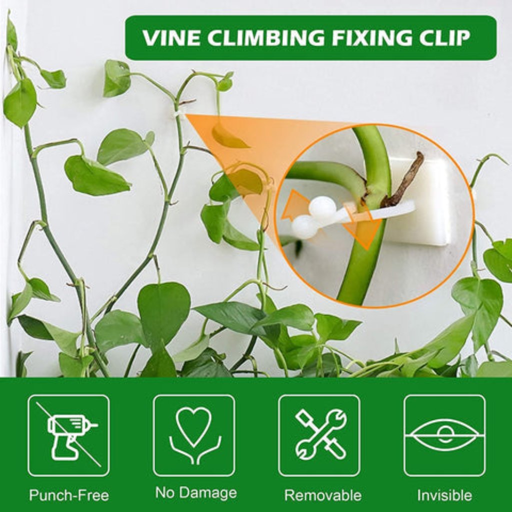 3-IN-1 PLANT CLIMBING CLIPS